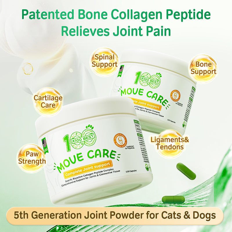 The Best Collagen for Dogs: X100BEST Collagen Peptide Joint Formula