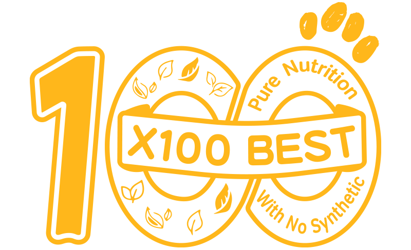 Bringing X100BEST to Your Doorstep: Discover Our Official Shopping Channels