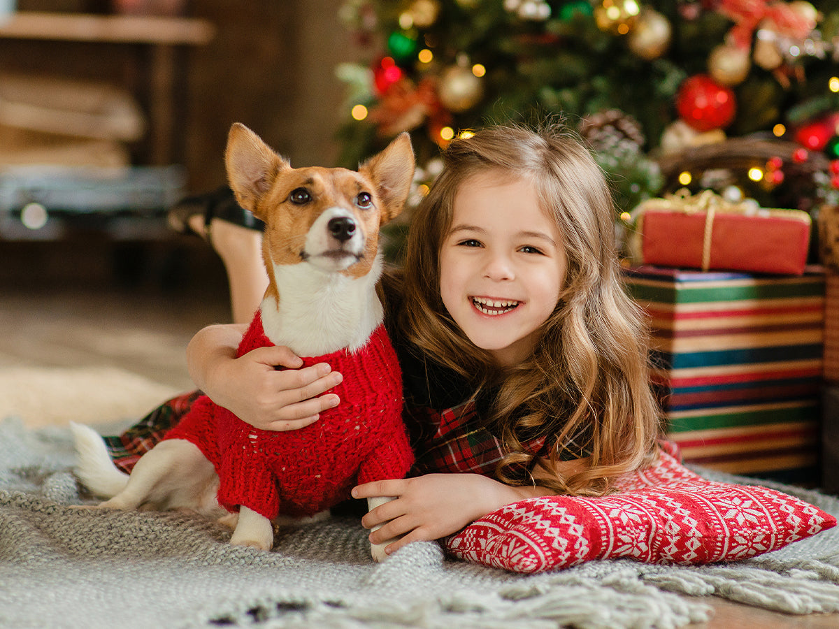 Keep the Holidays Merry: Protect the Paws That Make Spirits Bright
