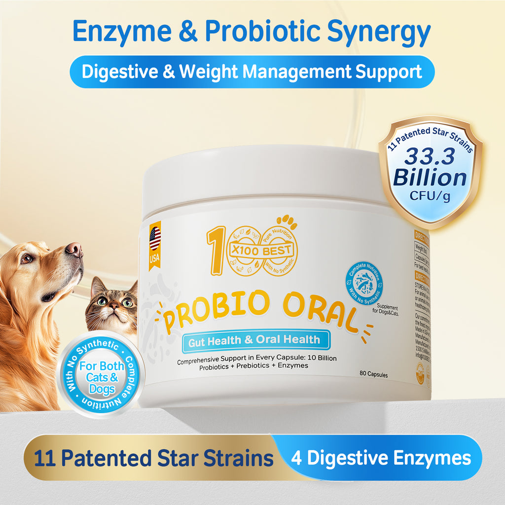 Probiotics Oral for Pets