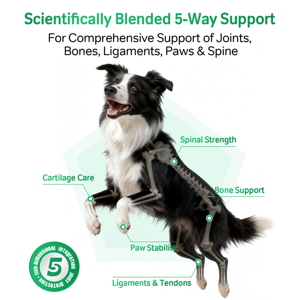 Canine Hip & Joint Supplement for Dogs & Cats