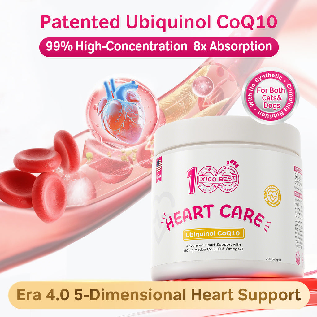 Pets Cardiac Support