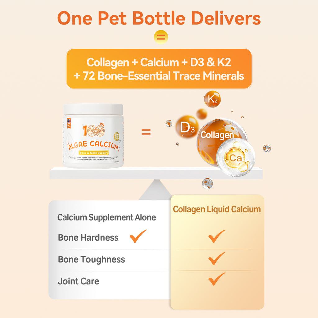 Pet Collagen Liquid Calcium