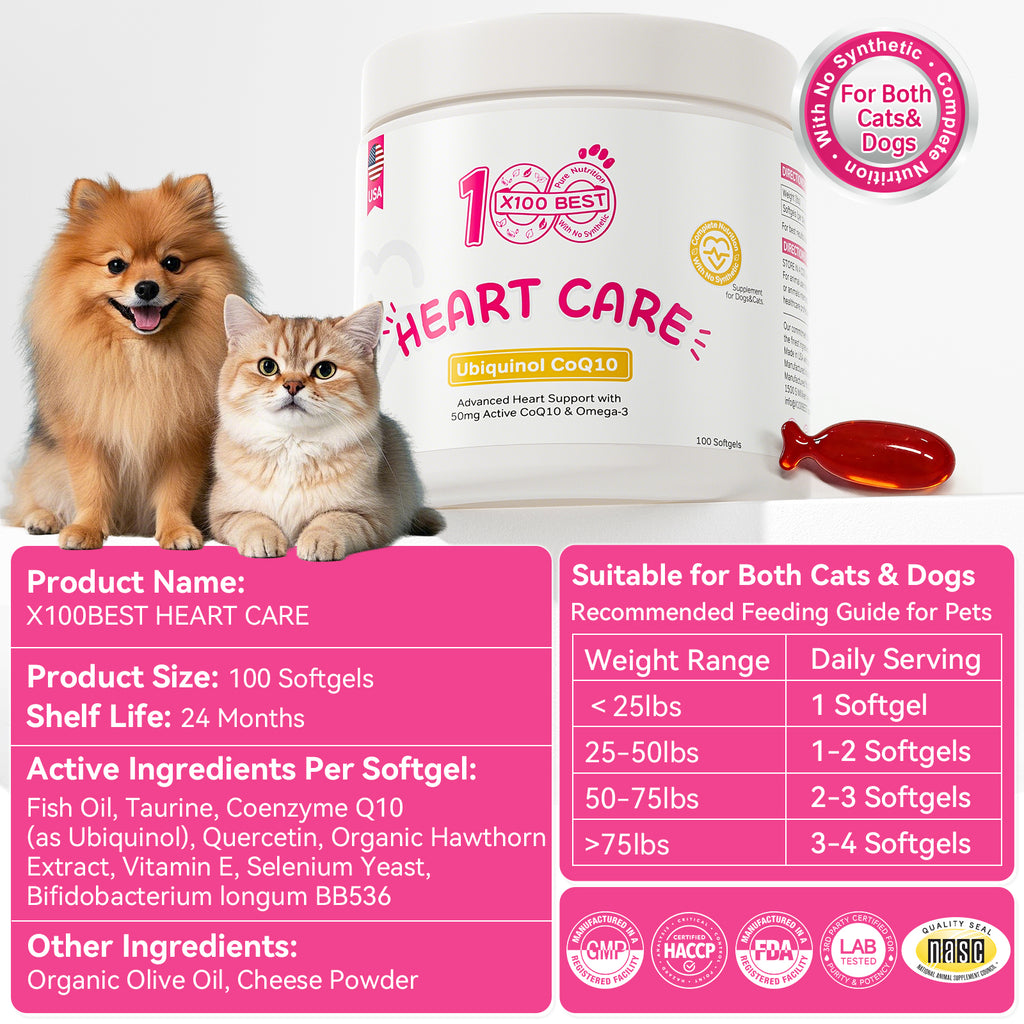 Pets Cardiac Support