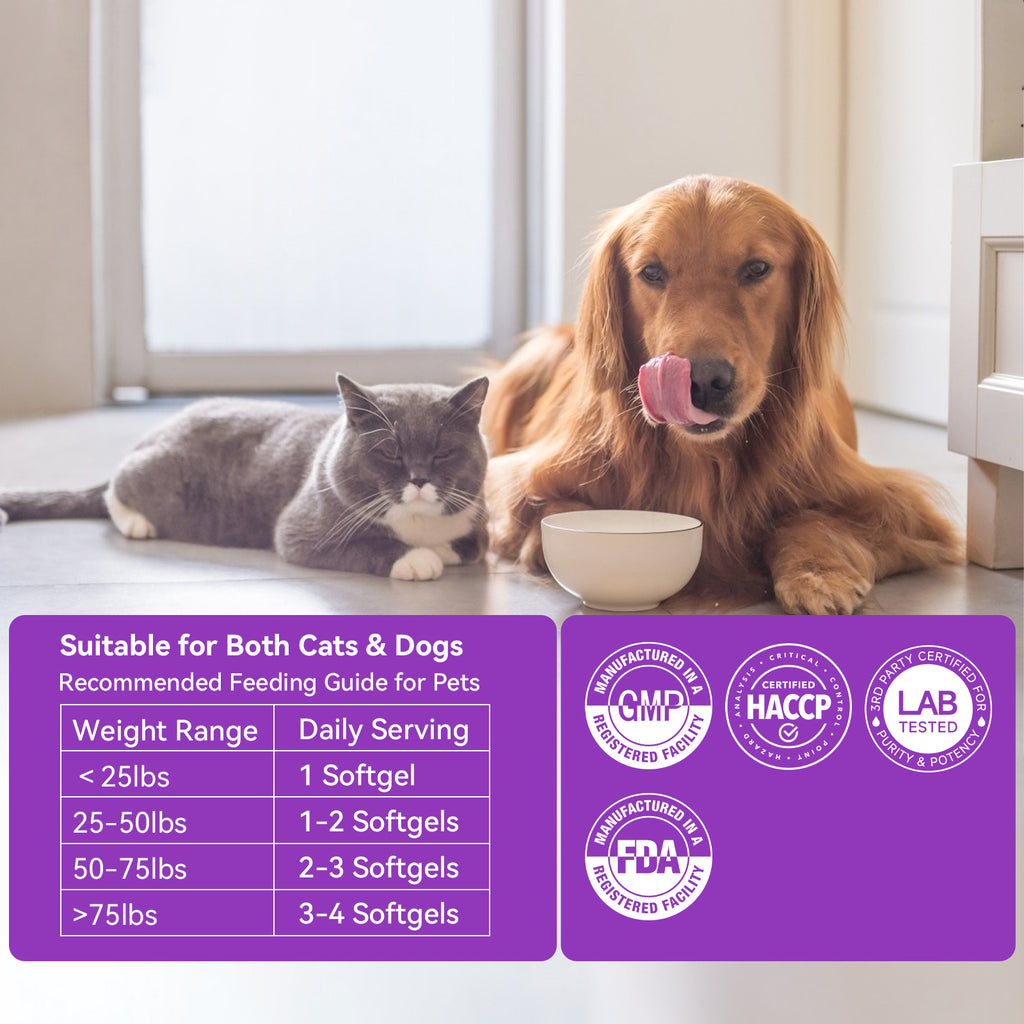 Probiotics Skin for Pets