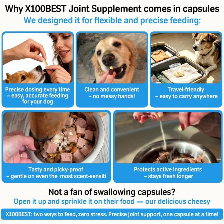 Probiotics Oral for Pets